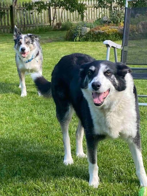 Highland Rural Farm Retreat,Loch Ness, Nc500, Beauly Villa Inverness Eksteriør billede